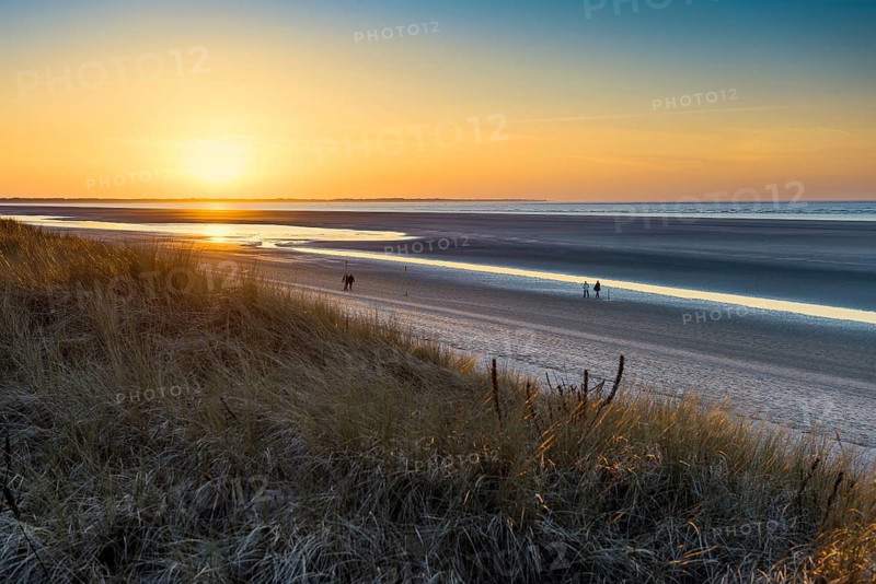 Dunes and blue sky in winter, sunset, Spiekeroog, East Frisian Islands, Lower Saxony, Germany