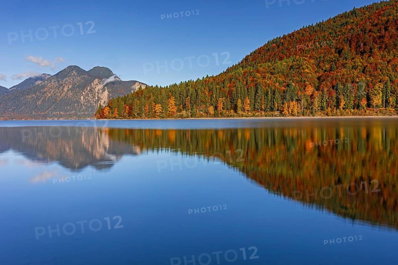 Mountain lake, mountains, morning light, reflection, autumn, autumn color, forest, shore, Walchensee, Upper Bavaria, Bavaria, Germany