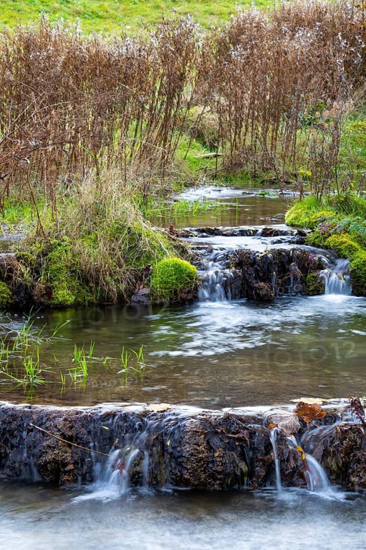 Sinterterrassen der Weißen Lauter, Bach, Water, Autumn, Donntal, Gutenberg, Swabian Jura, Baden-Württemberg, Germany
