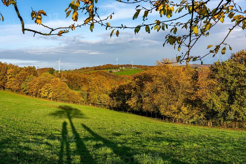 Autumn landscape in Elfringhauser Switzerland, south of Velbert-Langenberg, part of the Neanderland Steig hiking trail, Germany