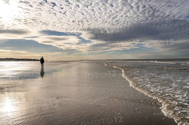Walkers on the Wadden Sea near the East Frisian island of Spiekeroog, west of the North Sea island, at low tide, Lower Saxony, Germany