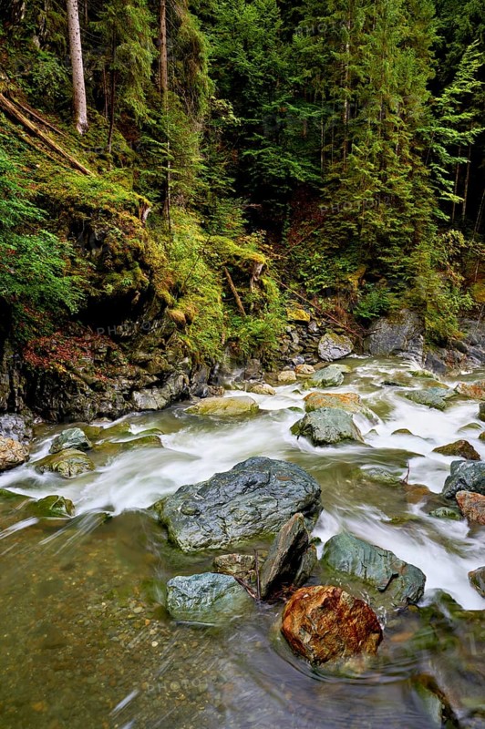 Diosaz mountain river in the gorge, Gorges de la Diosaz, Les Houches, Chamonix-Mont-Blanc, Haute-Savoie, France