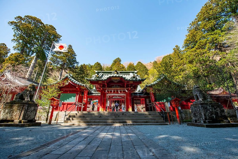 Shinto Shrine, Hakone Shrine, Hakone, Japan