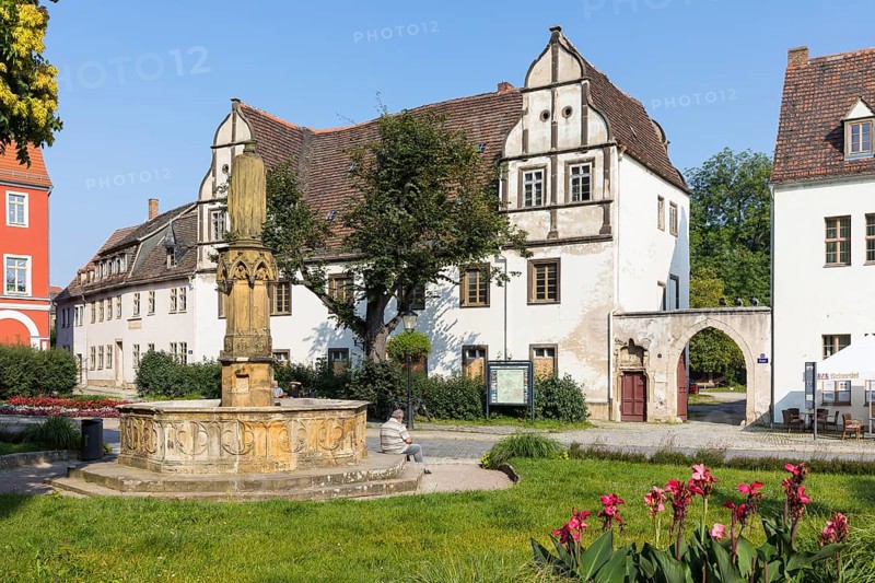Cathedral Square with historic buildings and Ekkehard fountain, Naumburg (Saale), Saxony-Anhalt, Germany
