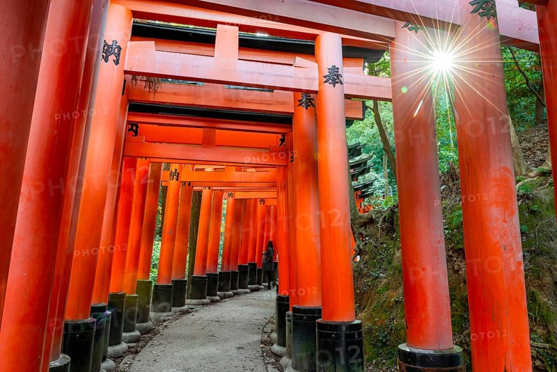 Walk through hundreds of red traditional torii gates, Fushimi Inari Taisha, Shinto Shrine, Sun Star, Fushimi Inari-taisha Okusha Hohaisho, Kyoto, Japan