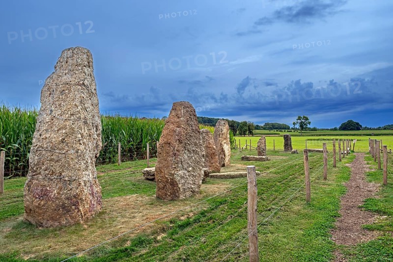 Menhirs, standing stones of conglomerate at Champ de la Longue Pierre in Wéris, Durbuy, province of Luxembourg, Belgian Ardennes, Wallonia, Belgium