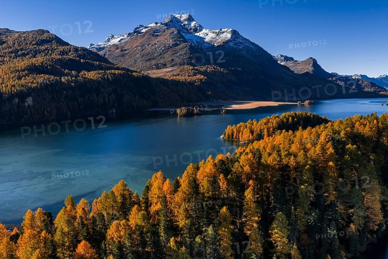 Mountain landscape, mountain lake, larch forest, autumn, autumn color, morning light, sunny, aerial view, Lake Sils, Engadin, Switzerland