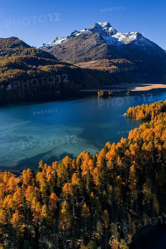 Mountain landscape, mountain lake, larch forest, autumn, autumn color, morning light, sunny, aerial view, Lake Sils, Engadin, Switzerland