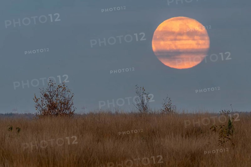 Full moon, super moon over the moor, Emsland, Lower Saxony, Germany