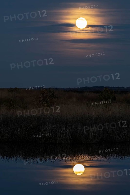 Full moon, super moon over the moor, Emsland, Lower Saxony, Germany