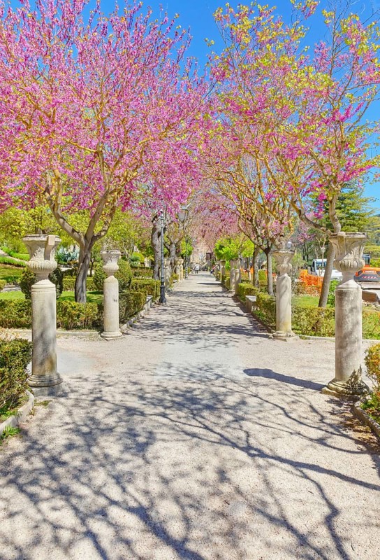 Giardino ibleo, Ragusa Ibla, Ragusa province, Sicily, Italy