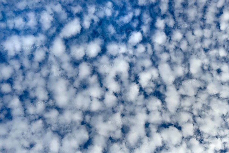 Dense cloudiness of with high white clouds Cirrocumulus Cirrocumulus clouds popularly sheep clouds attract blue sky, international
