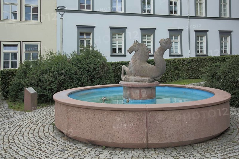 Meerpferdchenbrunnen with guinea horse, sculpture, mythical creature, horse figure, fish figure, Nordhausen, Harz, Thuringia, Germany