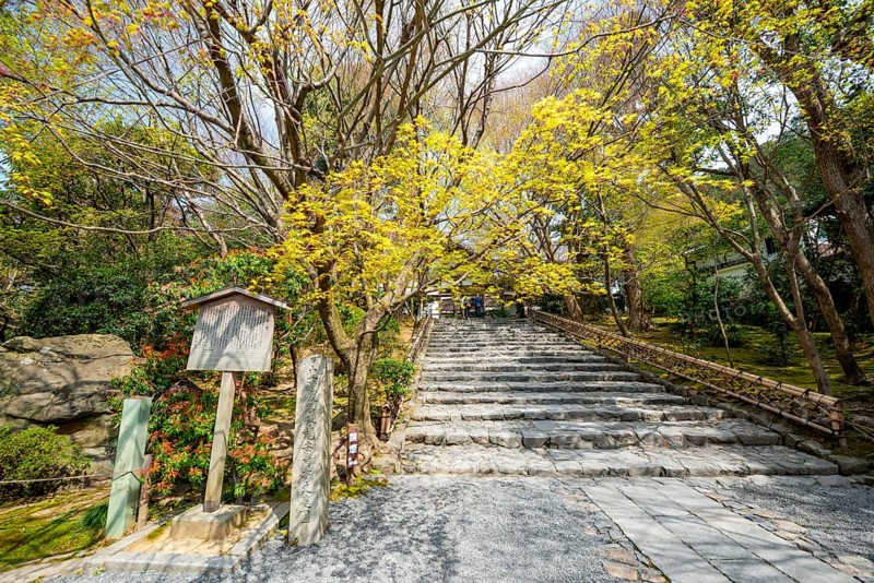 Stairs to Ryoan-ji Temple Kori Kori, Ryoan-ji, Zen Buddhist Temple Complex, Kyoto, Japan