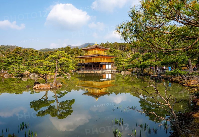 Golden Pavilion reflected in pond, Japanese garden, Golden Pavilion Temple, Kinkaku-ji reliquary, Buddhist temple complex, Kyoto, Japan