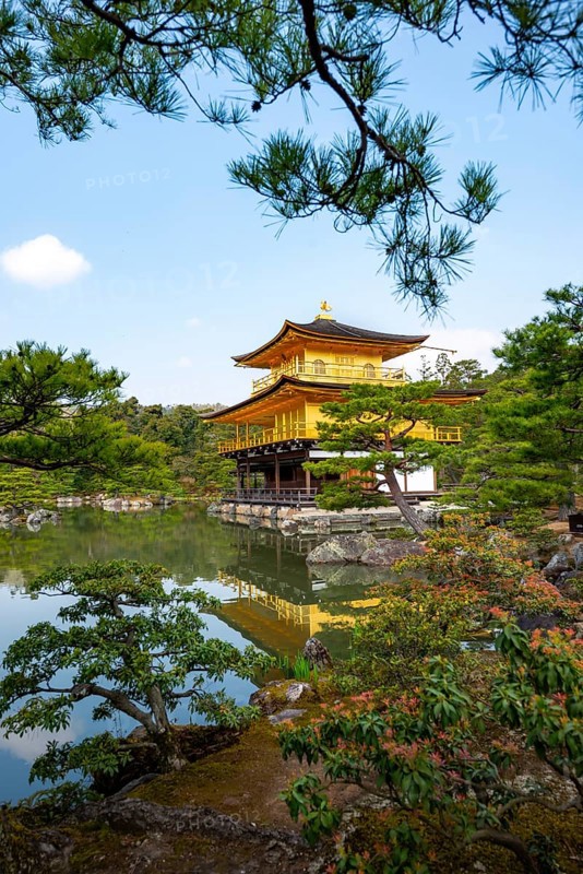 Golden Pavilion reflected in pond, Japanese garden, Golden Pavilion Temple, Kinkaku-ji reliquary, Buddhist temple complex, Kyoto, Japan