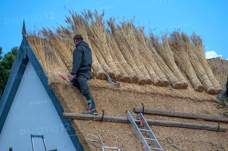 A thatched roof is covered, Wieck a. Darß, Baltic Sea, Mecklenburg-Western Pomerania, Germany