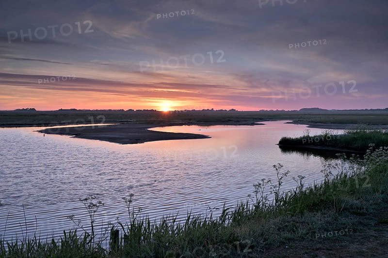 Sunrise over an artificially created wetland, Texel, North Holland, the Netherlands