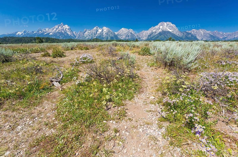 Majestic grand tetons range landscape