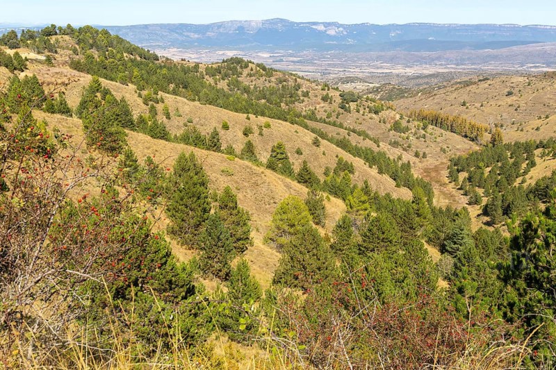 Countryside landscape view from Puerto de Sos hills south of Sos del Rey Catolico, Cinco Villas district, Zaragoza province, Aragon, Spain