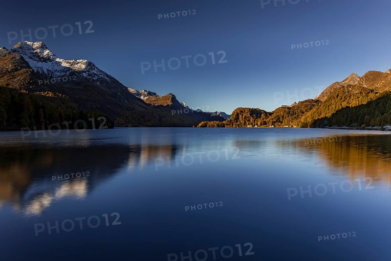 Mountain lake, reflection, mountains, larch forest, autumn discoloration, autumn, sunrise, Lake Sils, Engadin, Switzerland