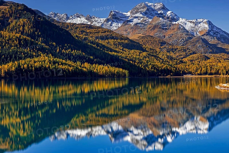 Mountain lake, reflection, mountains, larch forest, autumn discoloration, autumn, sunny, Silvaplana, Engadin, Switzerland