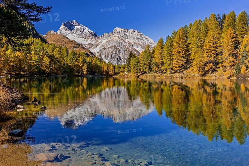 Mountain lake, reflection, mountains, larch forest, autumn discoloration, autumn, sunny, Lake Palpuogna, Engadin, Switzerland