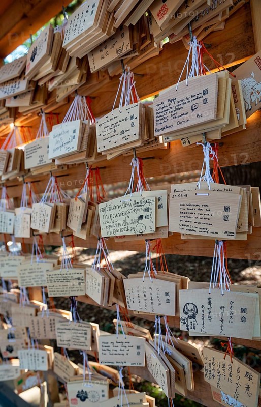 Ema, small wooden tablets with wishes and prayers, hung so that the Kami spirits or gods can receive them, Meiji Jingu, Meiji Shrine, Shinto Shrine, Yoyogi Park, Shibuya, Tokyo