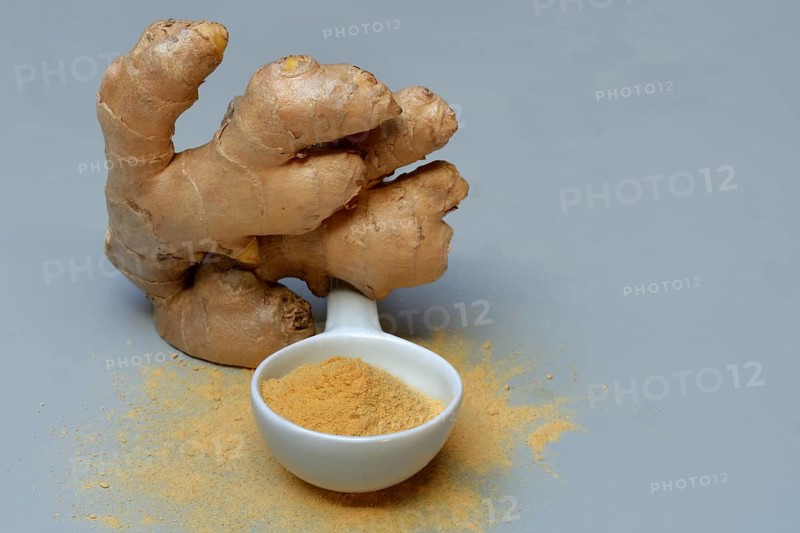 Ginger root and ginger powder in spoon, Zingiber officinale