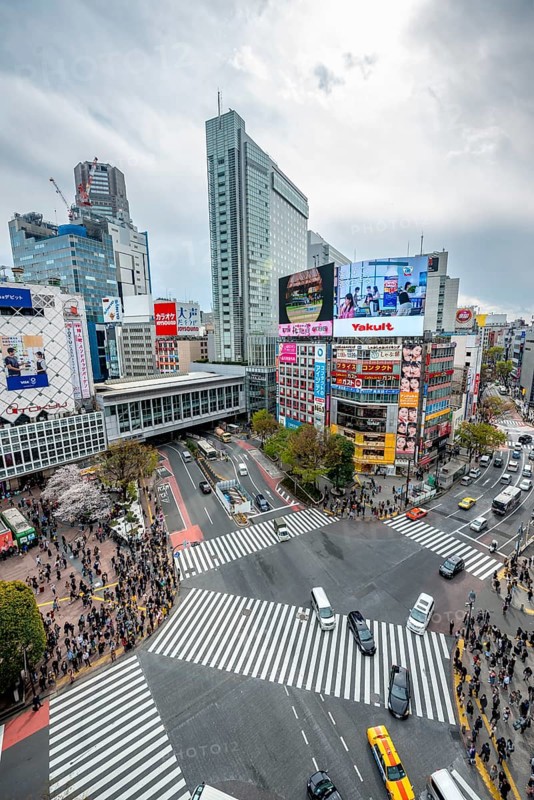 Modern houses with colorful neon signs and large road intersection, Shibuya Crossing from above, crowd at crossroads with crosswalks, Shibuya, Tokyo, Japan