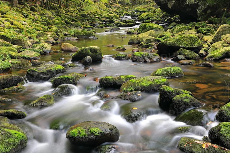 Stream, stones, mixed forest, autumn, Wildbachklamm Buchberger Leite, Bavarian Forest National Park, Bavaria, Germany