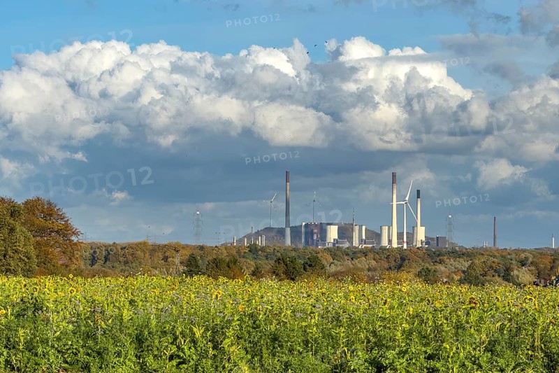 Symboldild with clouds Cumulus calvus for wind energy at the top, Uniper power plant with fossil energy the largest hard coal-fired power plant in Germany, at the bottom in the foreground sunflower symbol for solar energy, North Rhine-Westphalia, Germany
