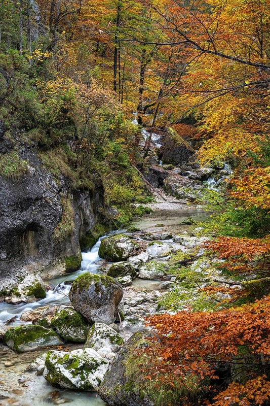 Stream in autumn in the Nothklamm, Gams, Palfau, Hieflau, Styria, Austria