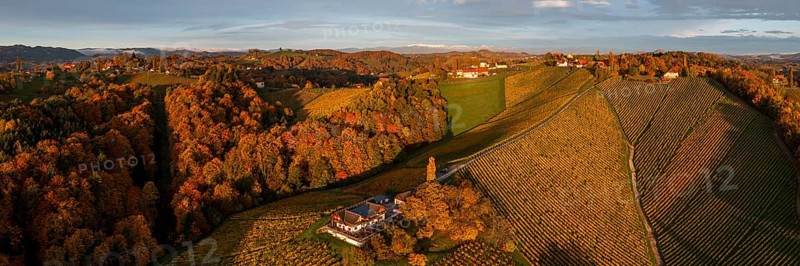 Panorama, aerial view, typical landscape in autumn with vineyards, South Styrian hills, South Styrian wine route, Styria, Austria