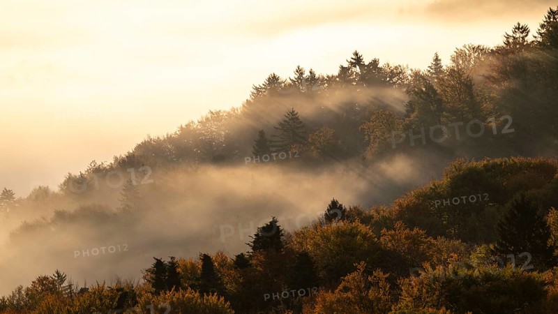 Sunrise, typical landscape in autumn with vineyards and fog, South Styrian hills, South Styrian wine route, Styria, Austria