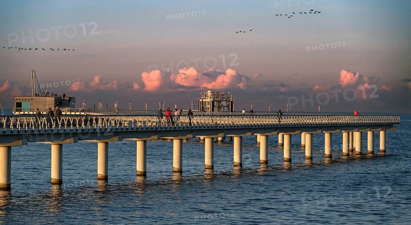 New 720-meter long pier in Prerow opened since October 2024, flying cranes (Grus grus) in the evening light, Prerow, Darß, Mecklenburg-Western Pomerania, Germany