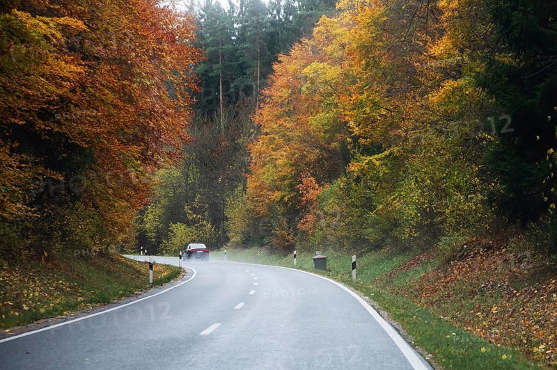 Mixed forest in autumn colors in Franconia on the B2 Nuremberg-Bayreuth, Upper Franconia, Bavaria, Germany