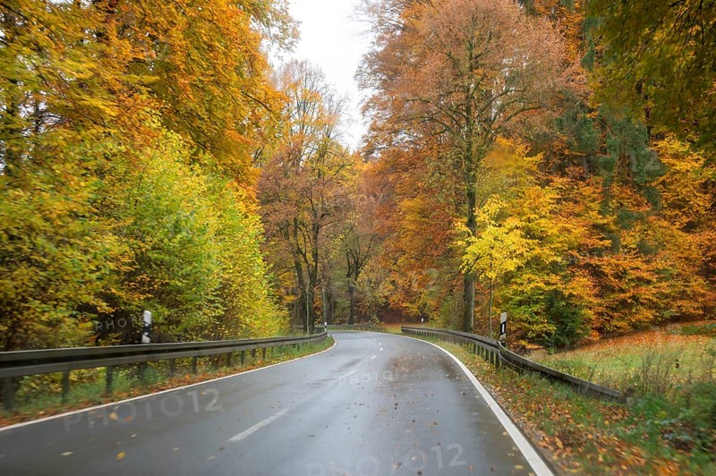 Mixed forest in autumn colors in Franconia on the B2 Nuremberg-Bayreuth, Upper Franconia, Bavaria, Germany