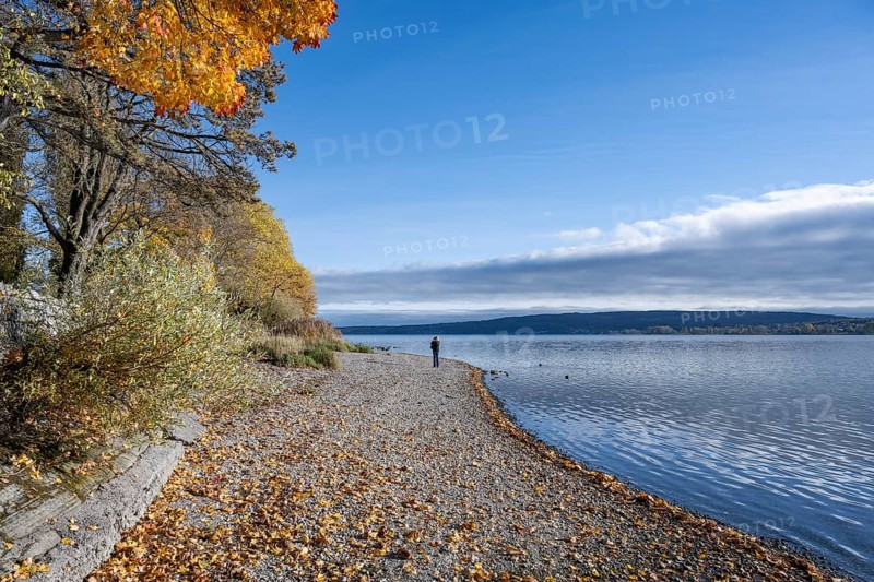 Gravel shore, pebble beach, Lake Constance shore at Mettnaupark near Radolfzell am Lake Constance, surrounded by autumn vegetation, Konstanz district, Baden-Württemberg, Germany
