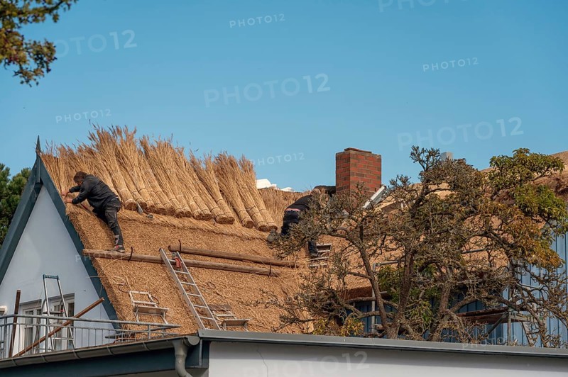 A thatched roof is covered, Wieck a. Darß, Baltic Sea, Mecklenburg-Western Pomerania, Germany