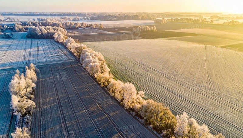 Bird Eye Perspective of Frost Covered Farmland. Seasonal Agricultural Scenery, winter and autumn scene, blue sky with golden light at sunrise, AI generated