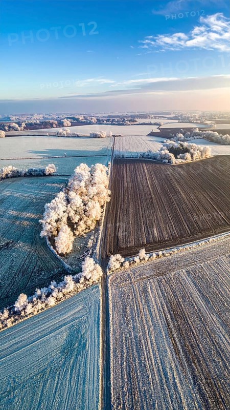 Bird Eye Perspective of Frost Covered Farmland. Seasonal Agricultural Scenery, winter and autumn scene, blue sky with golden light at sunrise, AI generated