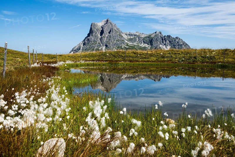 Mountain landscape and picturesque little lake, Saloberkopf, Widderstein, Warth, Bregenzerwald, Vorarlberg, Alps, Austria