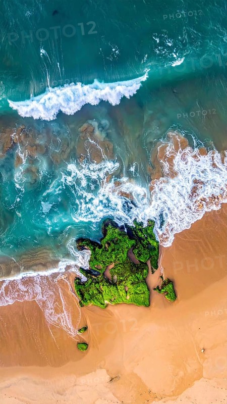 Green algae on the sandy shore of an ocean. Fascinating phenomenon of wild coastline with green plants, white sands, stone, blue water and cliffs, Aerial view of a beautiful abstract unreal and textured landscape, AI generated