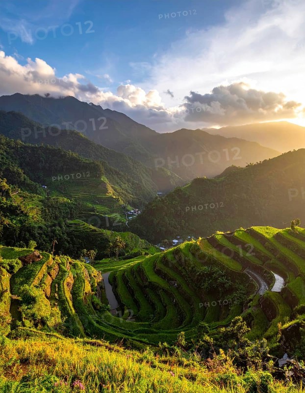 Early morning light bathes Philippines rice terraces cascading down mountain slopes, beautiful golden light, AI generated