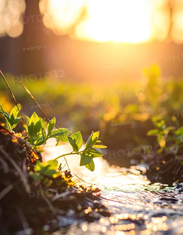 Beautiful spring detailed stream of fresh water, vibrant blooming young green plants, wallpaper banner for springtime and summer nature concept, AI generated