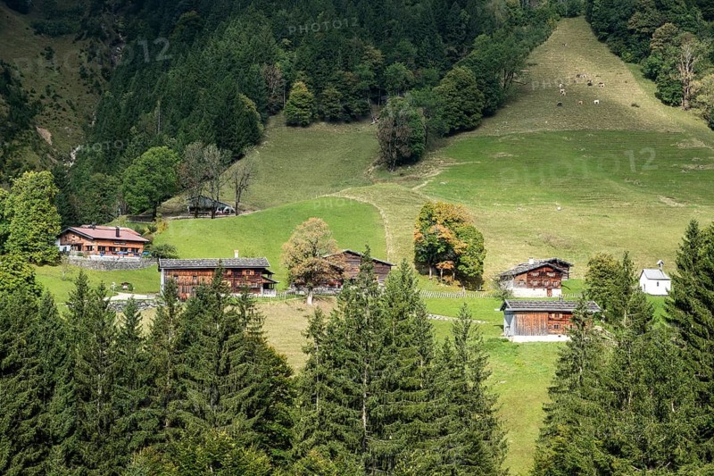 View of historic mountain farming village Gerstruben, Oberstdorf, Allgäu Alps, Oberallgäu, Allgäu, Bavaria, Germany