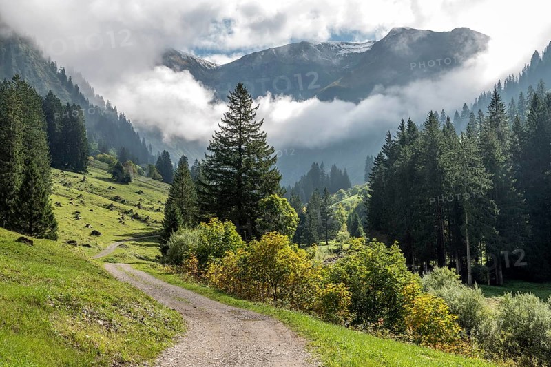 Hiking trail in the Dietersbachtal from Gerstruben to Alpe Dietersbach, Nebelschwanden hang in the valley, Oberstdorf, Allgäu Alps, Oberallgäu, Bavaria, Germany