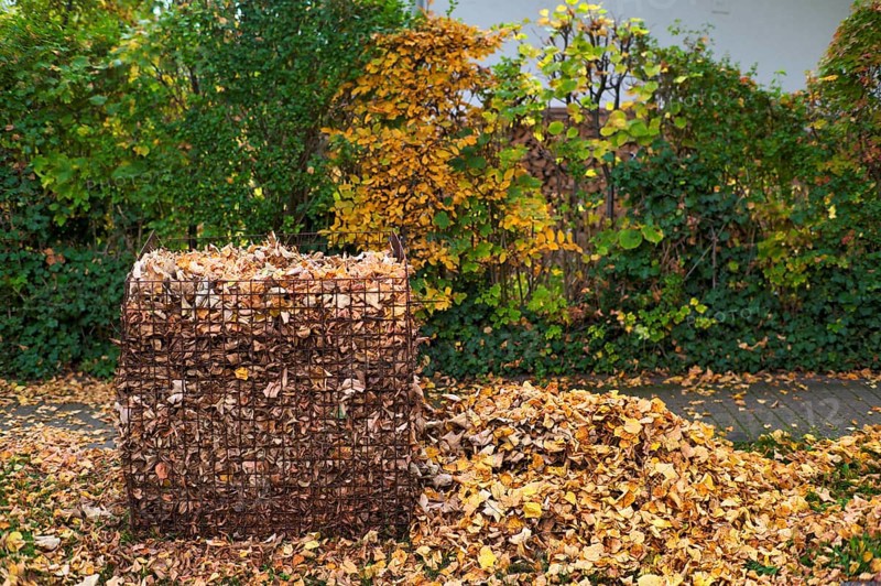 Public collection container, leaf basket, steel mesh compost basket, for collecting autumn leaves, leaves, overfilled, full, leaves, autumn, autumn, residential area, Stuttgart, Baden-Württemberg, Germany