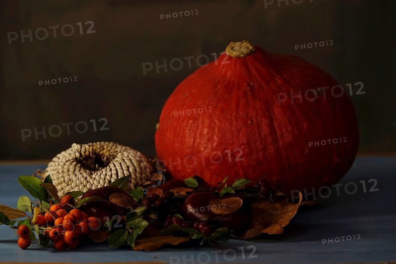 Autumn still life with pumpkin, sunflowers, chestnuts, October, Germany